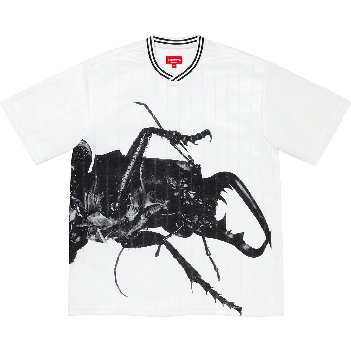 Beetle Soccer Top view 2